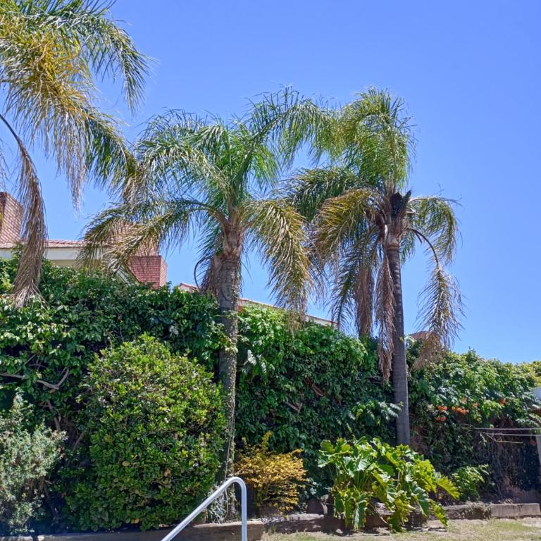CASA RIO TERCERO Cordoba Argentina - Two-Bedroom House - 25
