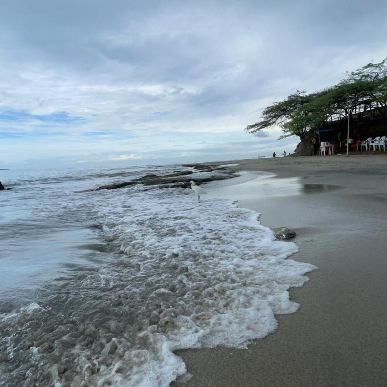 Aparta suite en Santa Marta - Apartamento de 1 dormitorio - 2