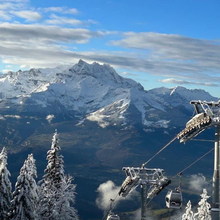 Central flat in Villars sur Ollon, Amethyste, for 4, with two double beds, balcony and 75m to ski-train - Apartment mit 1 Schlafzimmer - 23