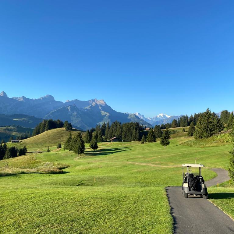 Central flat in Villars sur Ollon, Amethyste, for 4, with two double beds, balcony and 75m to ski-train - Apartment mit 1 Schlafzimmer - 28