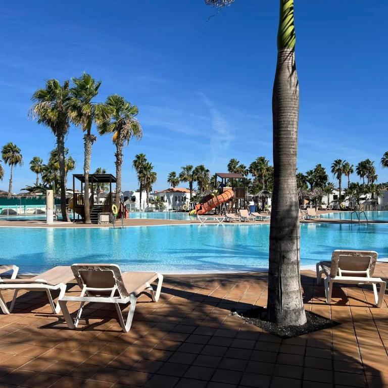 Corralejo Oasis Dunas Hermes apartment - Apartamento de 1 dormitorio - 18