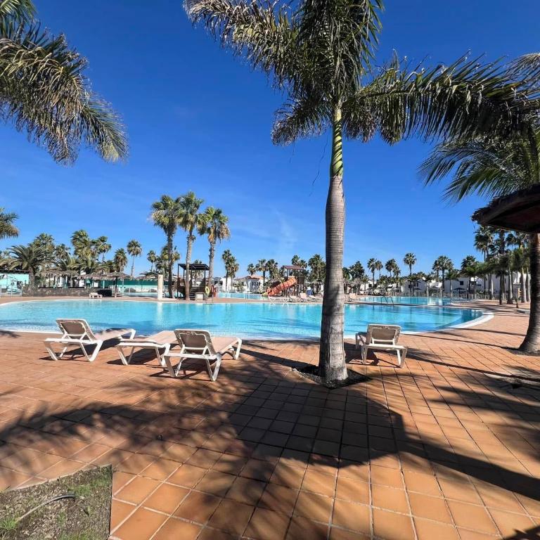 Corralejo Oasis Dunas Hermes apartment - Apartamento de 1 dormitorio - 21
