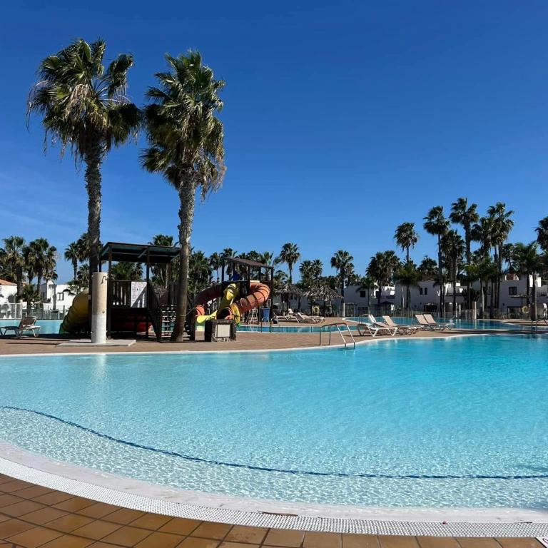 Corralejo Oasis Dunas Hermes apartment - Apartamento de 1 dormitorio - 1