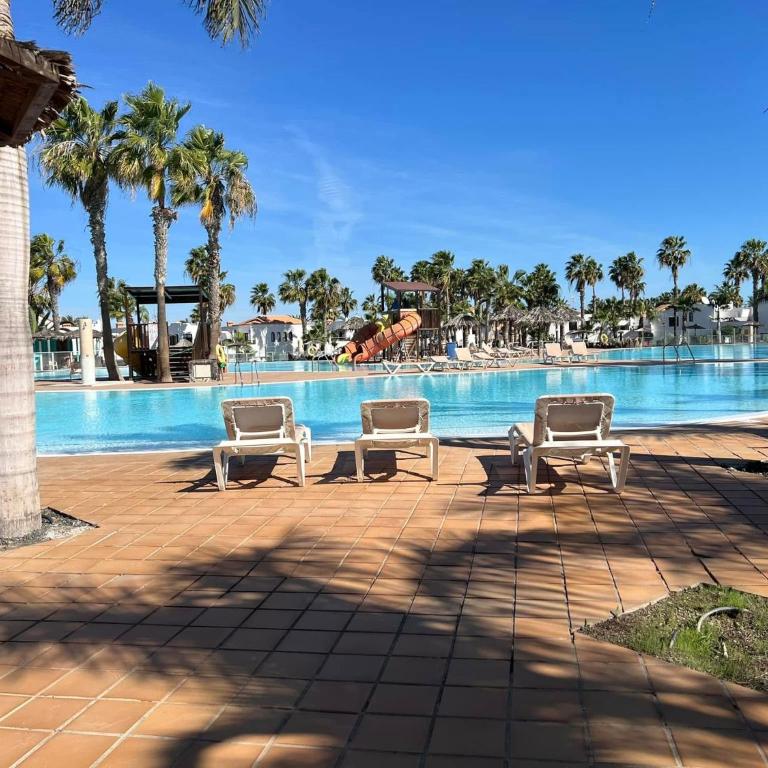 Corralejo Oasis Dunas Hermes apartment - Apartamento de 1 dormitorio - 23