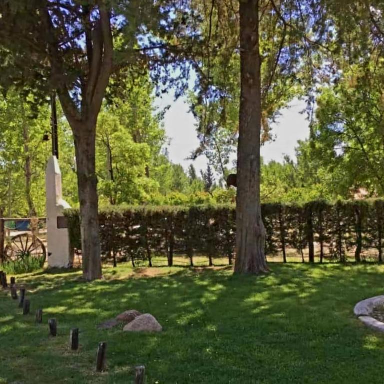 Villa Carrizal Mendoza - Casa con 1 dormitorio - 6