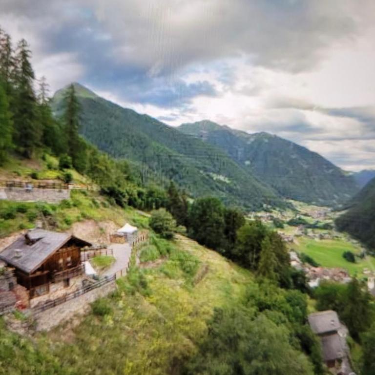 Chalet Berghof L'Aret in Val di Rabbi - Appartamento con 1 Camera da Letto, Balcone e Vista Montagna - 5