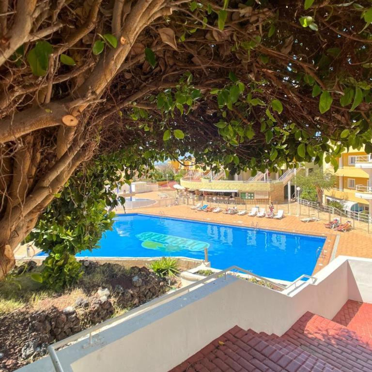 Orlando Suite Fanabe Beach - One-Bedroom Apartment - 4