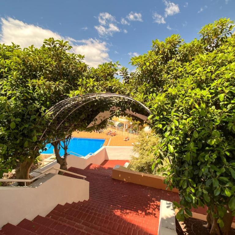 Orlando Suite Fanabe Beach - One-Bedroom Apartment - 10