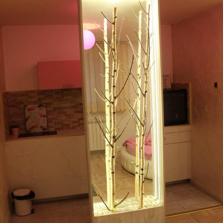 Pinky Belgrade Apartment - One-Bedroom Apartment - 4