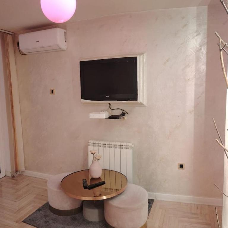 Pinky Belgrade Apartment - One-Bedroom Apartment - 8