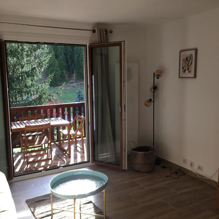 Studio Valberg face aux pistes - Appartement 2 Chambres - 4