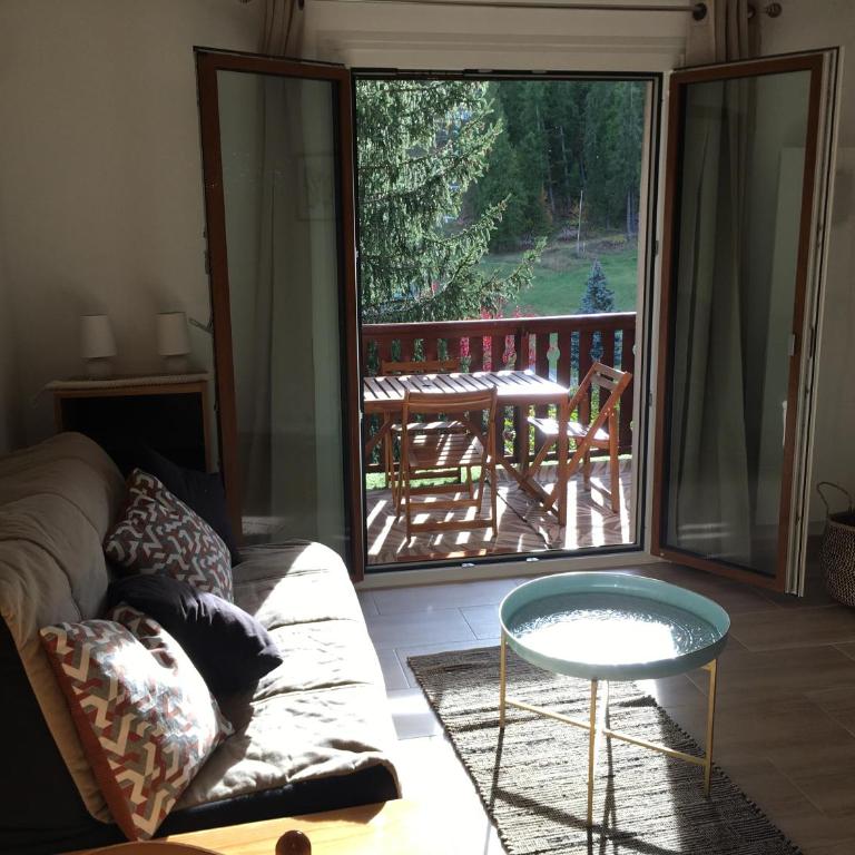 Studio Valberg face aux pistes - Appartement 2 Chambres - 1