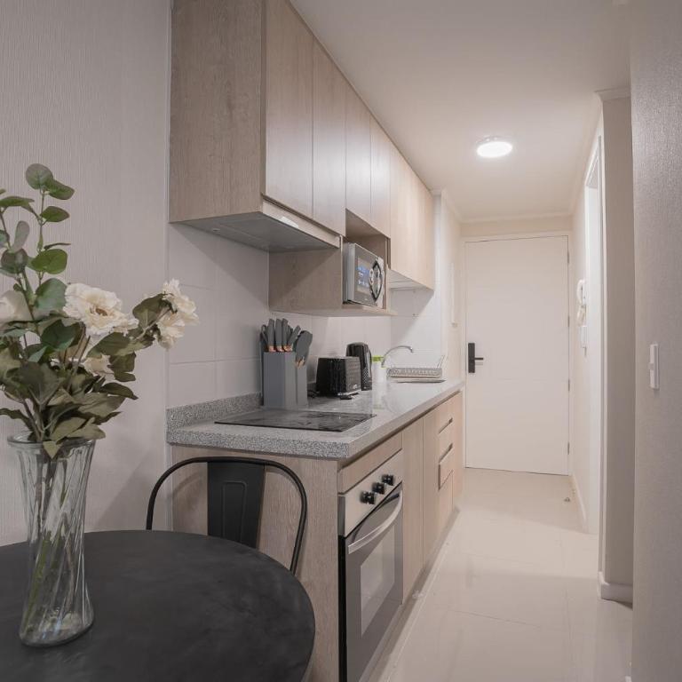 Cozy Studio in Santa Lucia Santiago - Estudio - 7