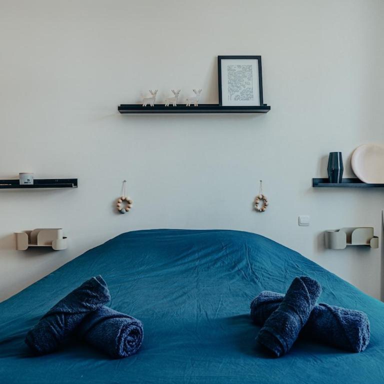 Superbe appartement lyonnais, vue sur Saône - Appartamento con 2 Camere da Letto - 20