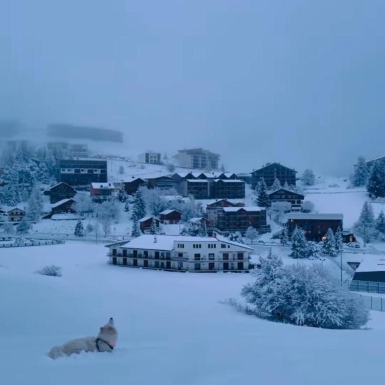 Studio lumineux avec vue et accès sur les pistes ! Coup de coeur - Estudio con vistas a las montañas - 1