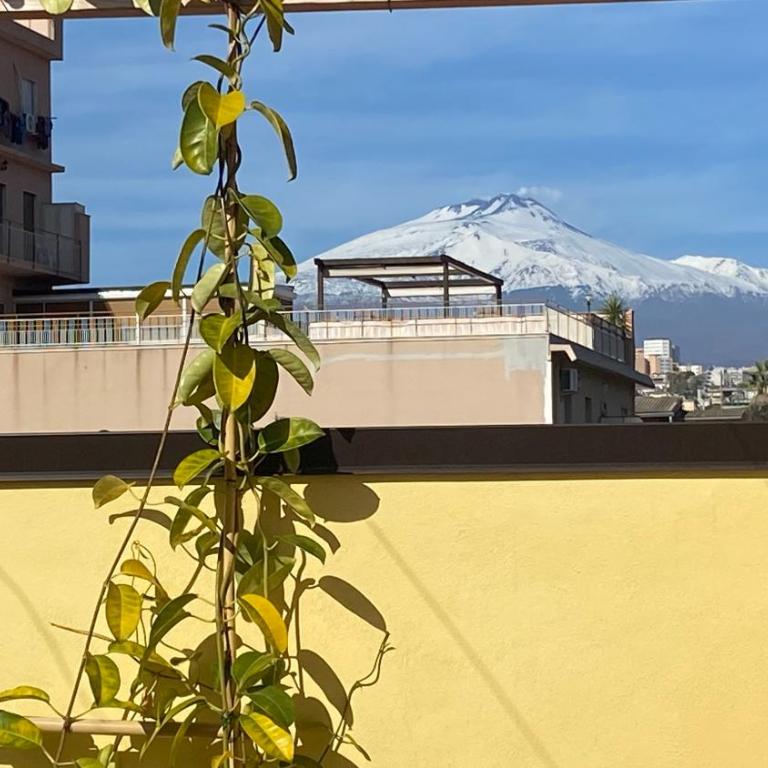 Case Vacanze Il Sorriso - One-Bedroom Apartment with Terrace - 5