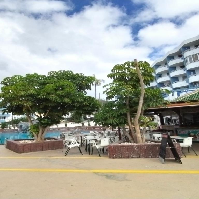 Mar & Terra Tenerife Golf Del Sur - Apartamento de 2 dormitorios - 23