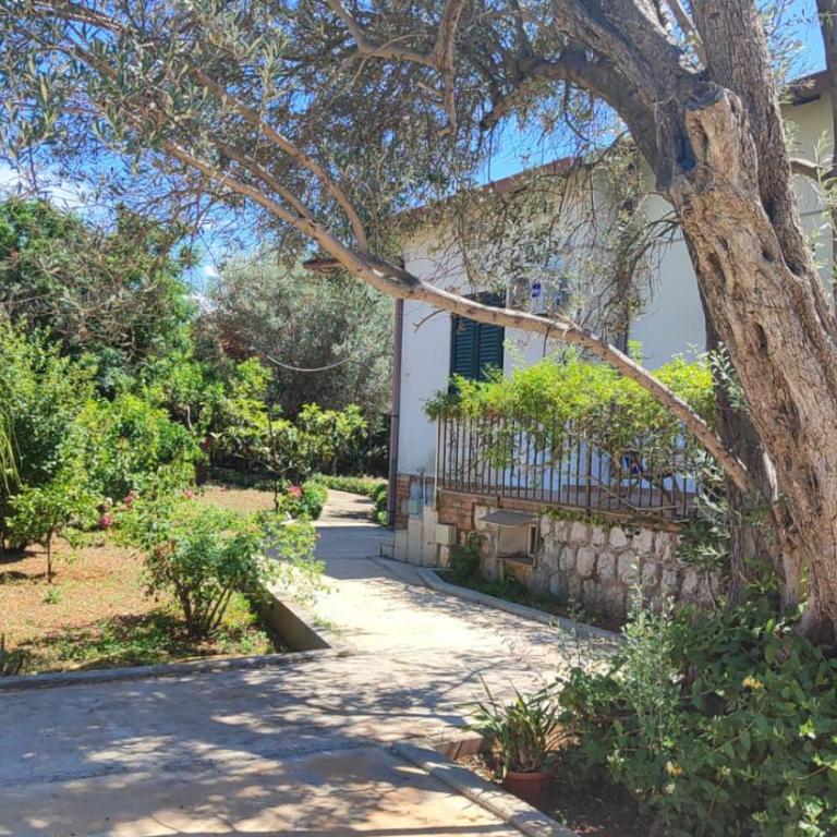Villa Serrano - Villa - 14
