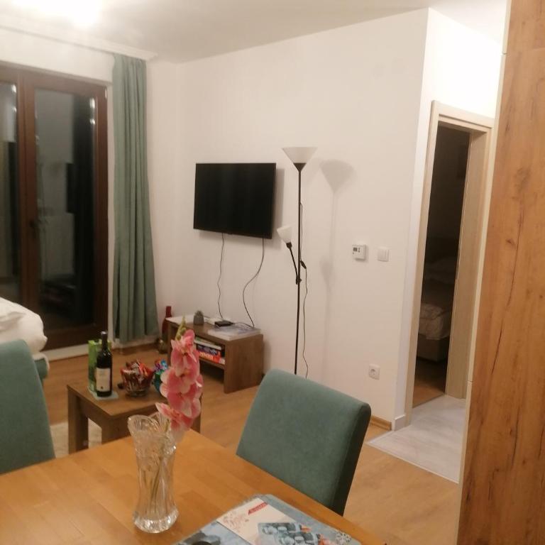 Vila Akva - Apartman sa 1 Spavaćom Sobom - 9