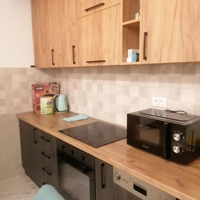 Vila Akva - Apartman sa 1 Spavaćom Sobom - 10