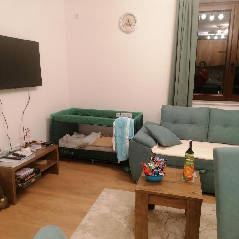 Vila Akva - Apartman sa 1 Spavaćom Sobom - 11