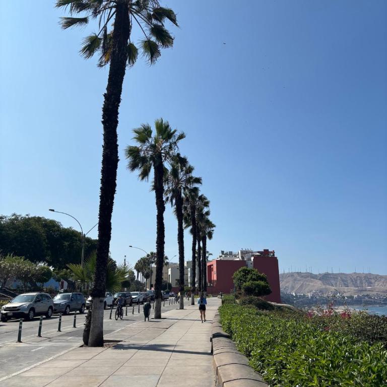 Modern apartment in Barranco - Apartamento de 2 dormitorios - 2