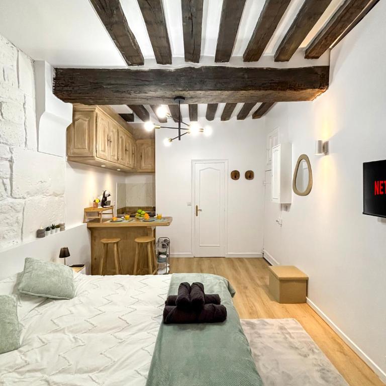 Le Columba-Studio Parisien Saint-Germain - Appartement 1 Chambre - 6