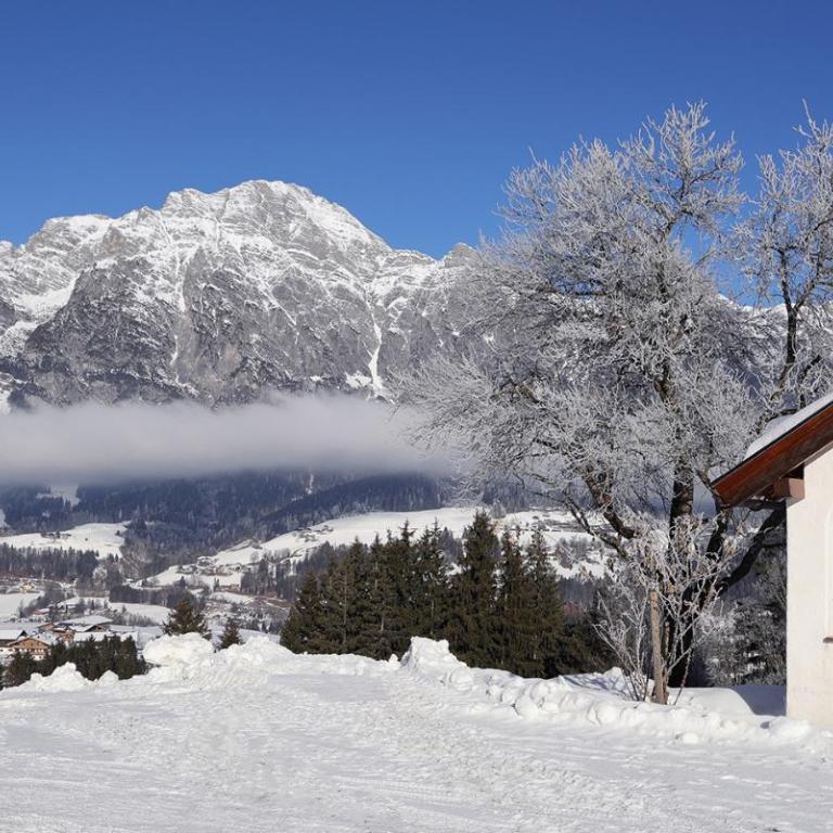 Hörlbauer-Leogang - Apartment mit 2 Schlafzimmern - 51