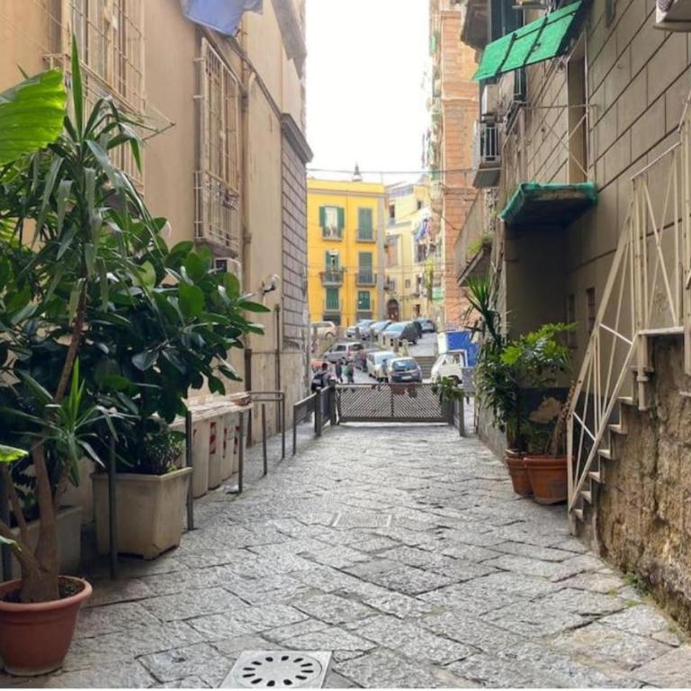 Vesuvio&Partenope - Superior Apartment with City View - 65