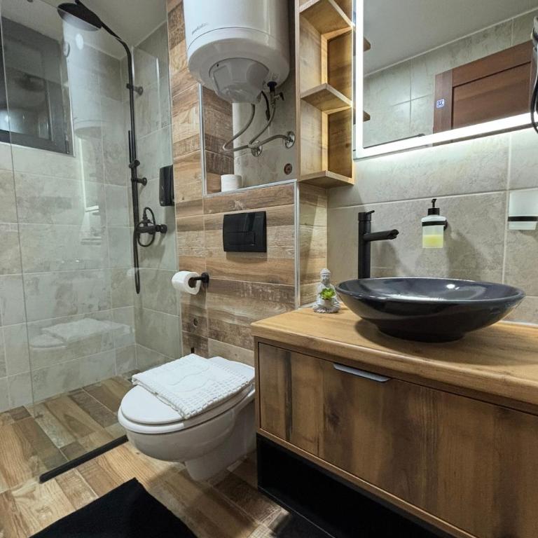 Gencian Resort KOPAONIK - Deluxe One-Bedroom Apartment - 5