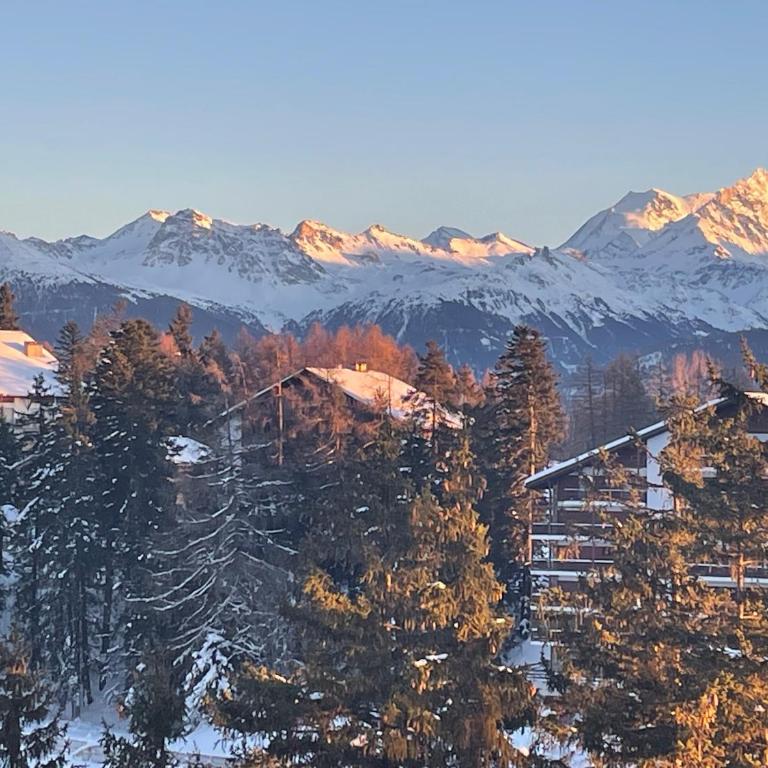 Cosy Rooftop Downtown Crans-Montana with Stunning View and Swimming Pool - Appartement 2 Chambres - 11