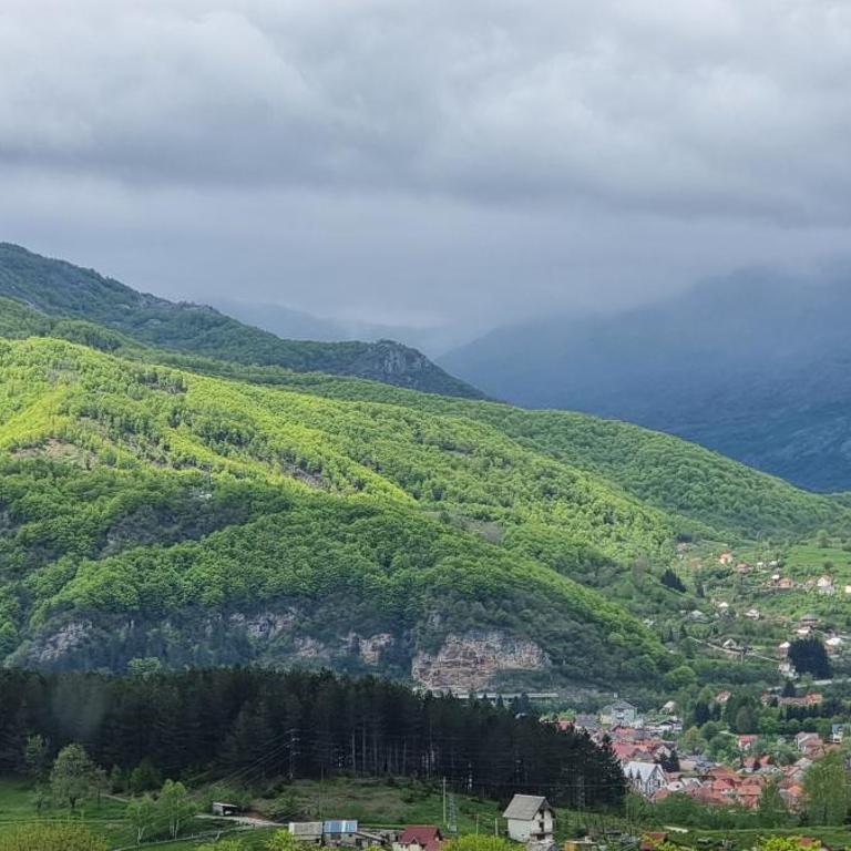 Best View Kolasin - Vila - 27