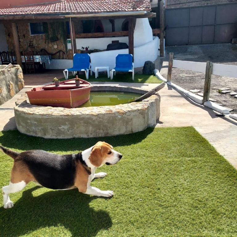 La Cuadra de Juan - Two-Bedroom House - 3