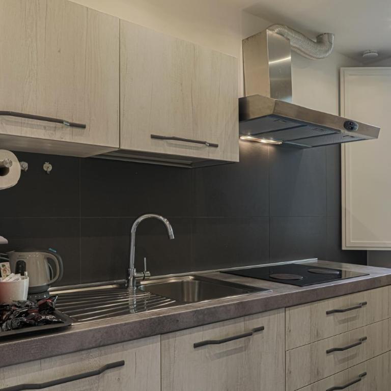 Luxury apt in the heart of city out of ZTL - Appartamento Superior - 14