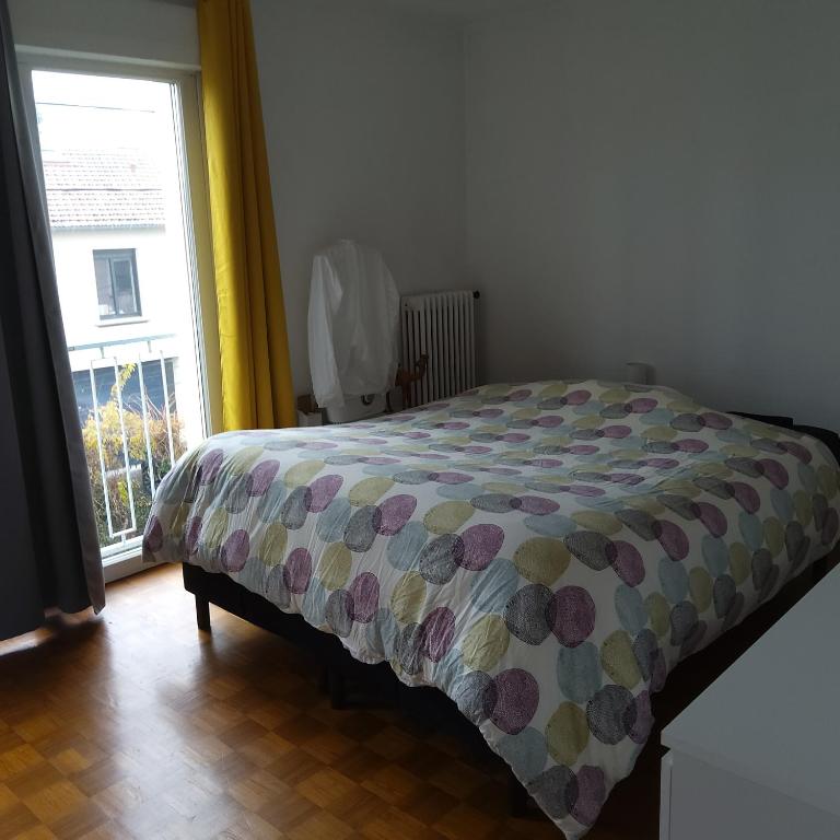 Appartement T2 - Appartamento con 1 Camera da Letto - 8