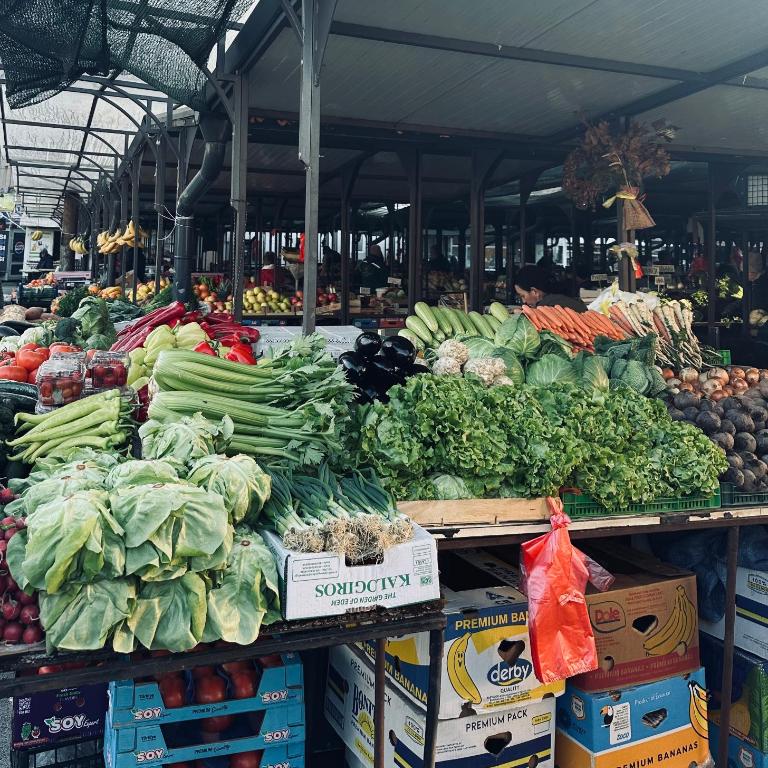 TriColore CityCentre - Apartman sa 1 Spavaćom Sobom - 21