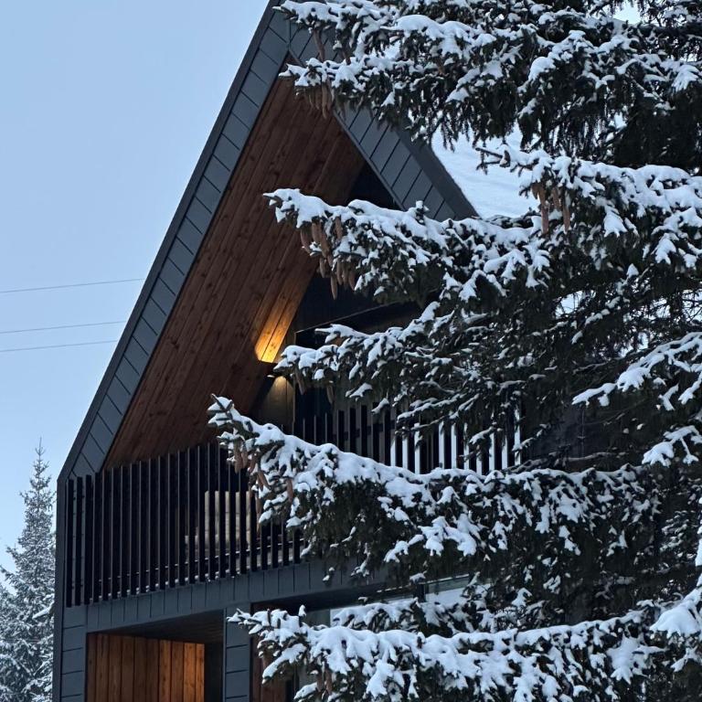 Black Chalet - Two-Bedroom Chalet - 4