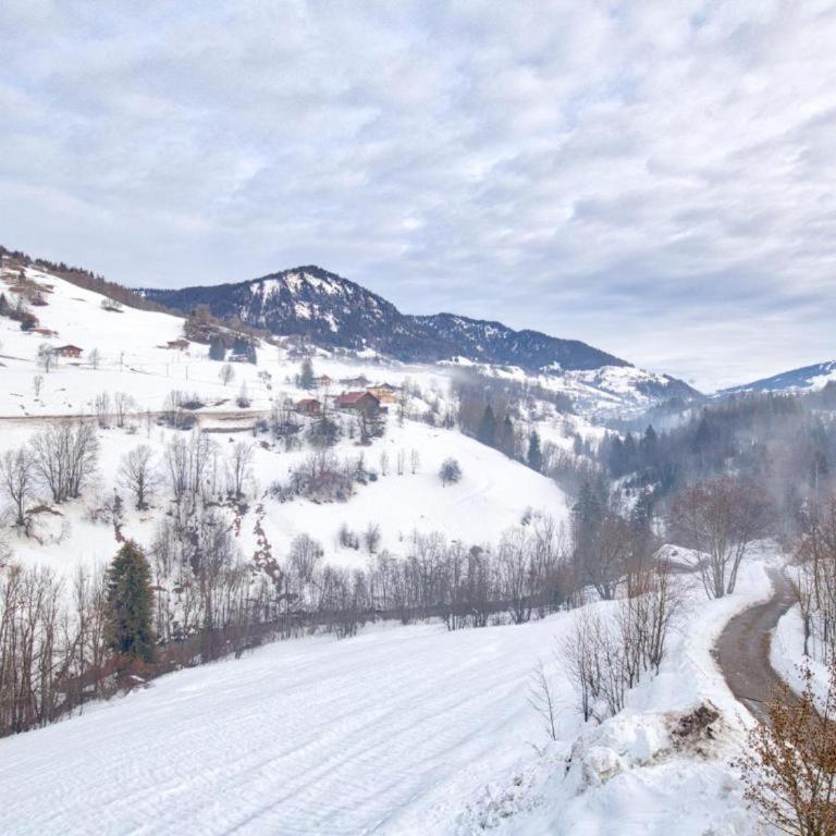 Appt 5 pers au pied des pistes FLUMET, PISCINE terrasse, parking,wifi - Appartement 2 Chambres - 7