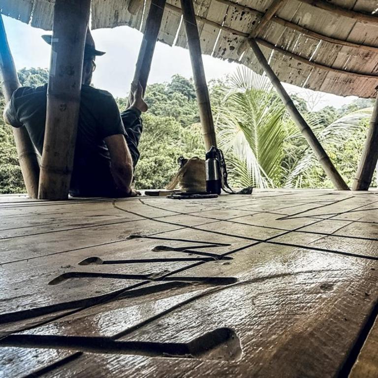 Blue Dot - jungle eco hostel - Cama en habitación compartida de 6 camas - 4