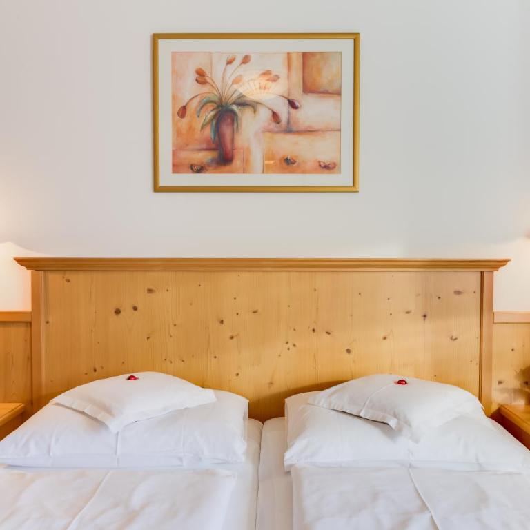 Residence *** Geringerhof - Appartamento con 1 Camera da Letto con Vista - 7