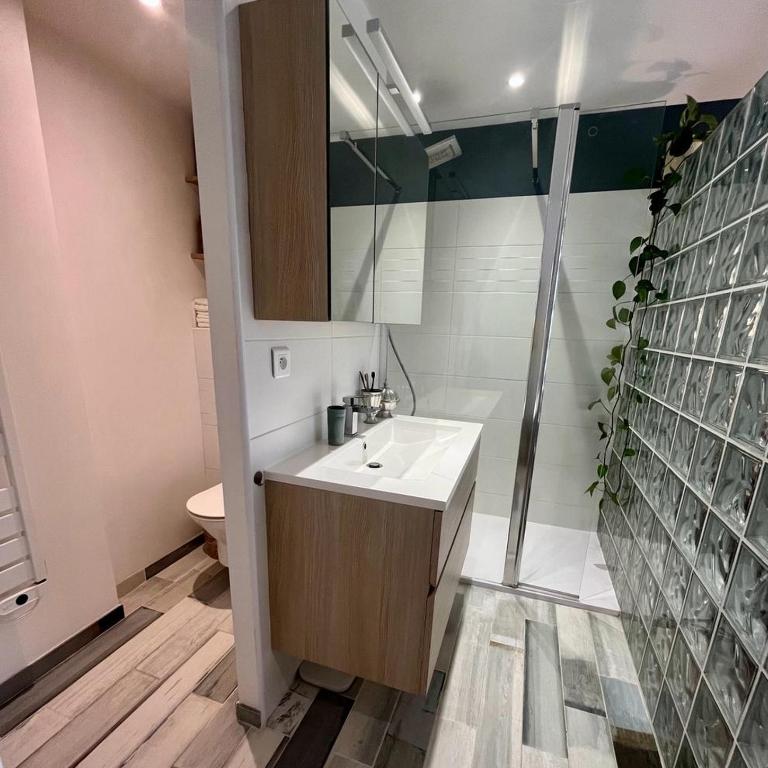 Cannes Passion - Apartment mit Meerblick - 9