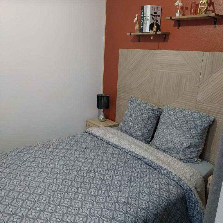 L Orchidée T2 Rdc climatisé jardin parking privé - Appartement - Rez-de-Chaussée - 3