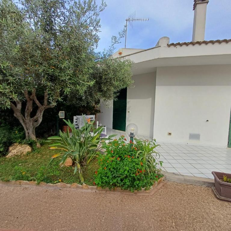 Oasi del Relax - Casa con 2 Camere da Letto - 14