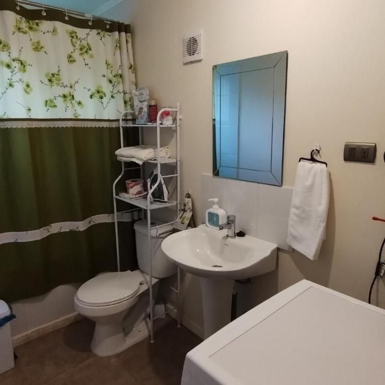 arriendo casa independiente en Valdivia - Two-Bedroom House - 13