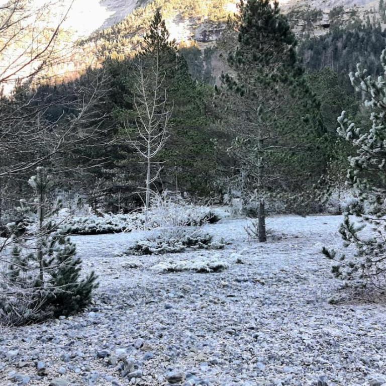 La Luziole 3 étoiles, en vacances ou cure, été ou hiver, comme chez vous - Appartement 1 Chambre - 33
