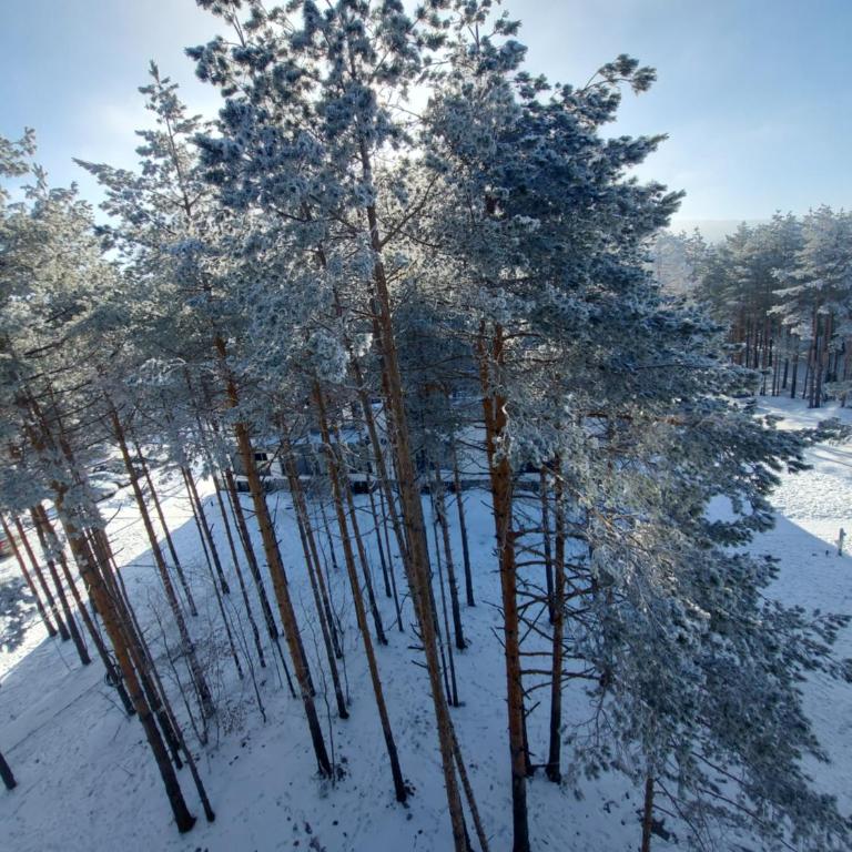 Apartman PANORAMA Green Hills Divčibare - Apartman sa 1 Spavaćom Sobom - 34
