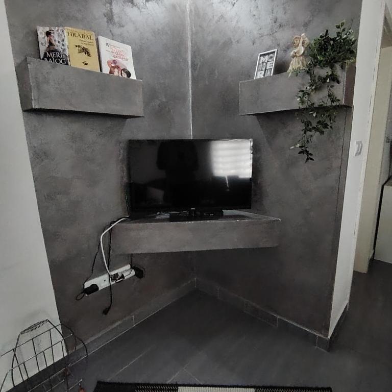 Apartman Raj - Vila sa 2 Spavaće Sobe - 20