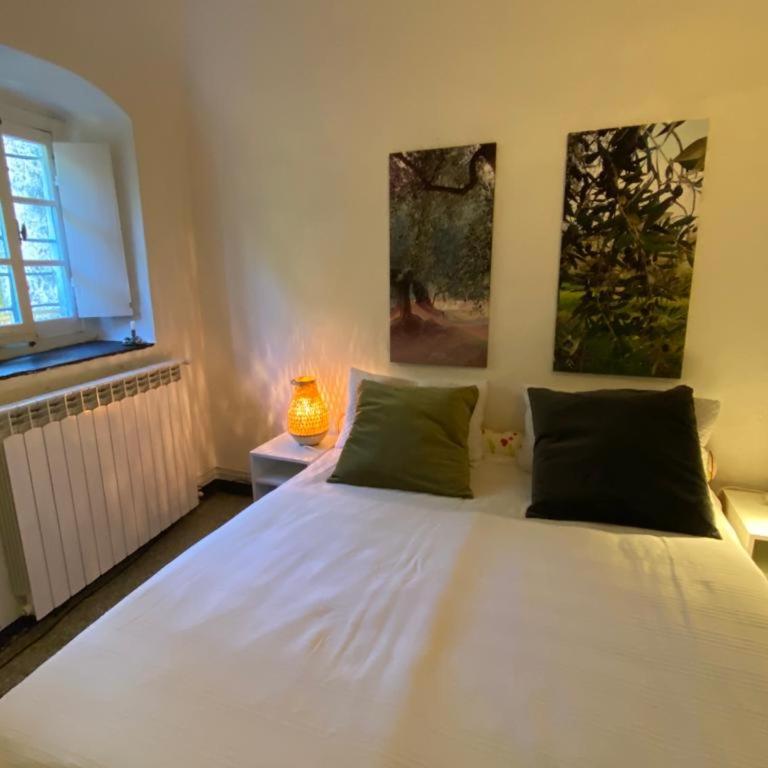 Ligurisches Rustico, umgeben von Olivenhainen am Dorfrand - Casa con 2 Camere da Letto - 14