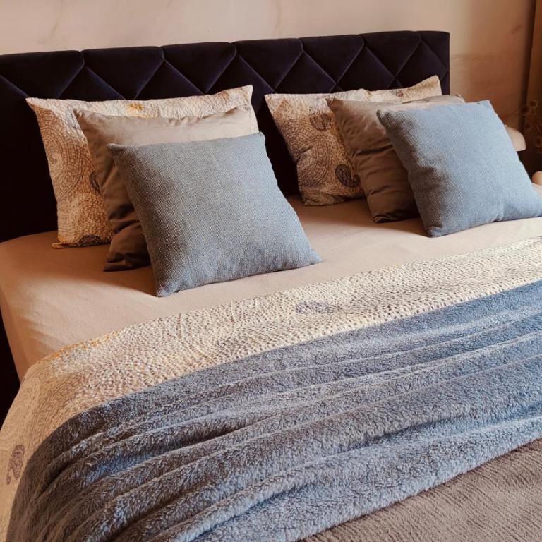 Residence - One-Bedroom Apartment - 50