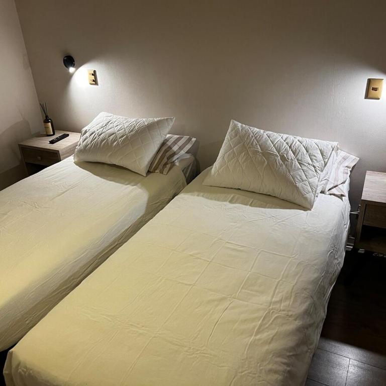 Cozy apartment in Ñuñoa - One-Bedroom Apartment - 5